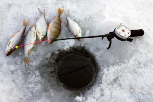 Соревнования по зимней рыбалке в Кушмуруне
